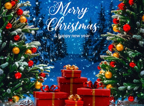 Winsafe CCTV Wishes You a Safe & Joyful Holiday Season